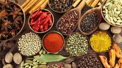 SUGAR & SPICES